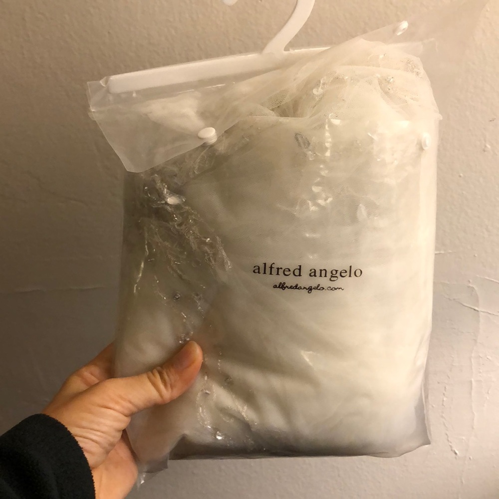 Cathedral length Veil